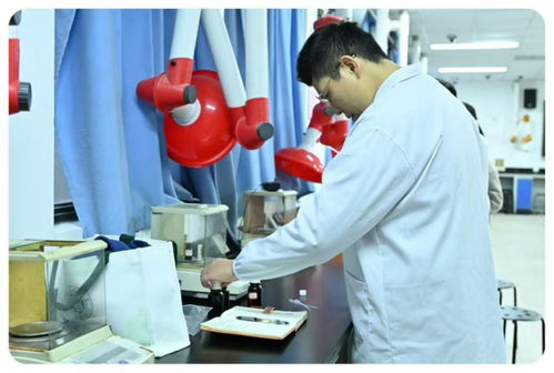 从公共管理到艺术品牌 一位学位生的技能重塑之路